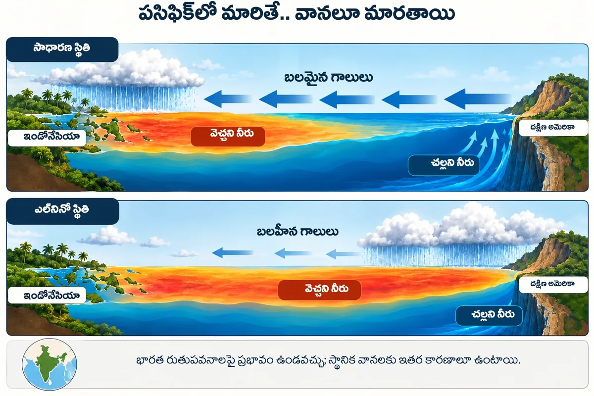 సాధారణ పసిఫిక్కు, ఎల్నినో పసిఫిక్కు తేడా చూపే చిత్రం