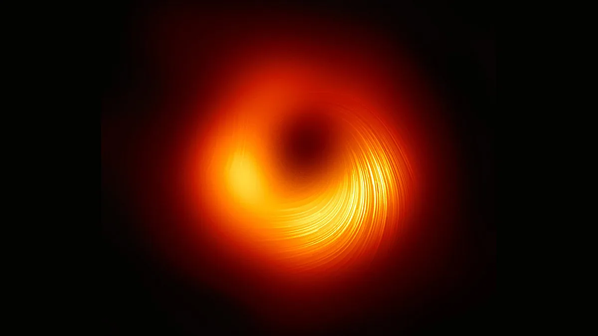 The shadow of the M87 black hole imaged by the Event Horizon Telescope